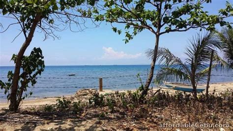 cebu beaches|cebu beach lot for sale.